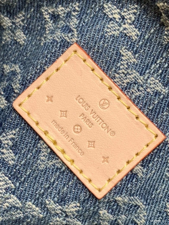 WIS VUITTON LOUIS NANO SPEEDY 0818